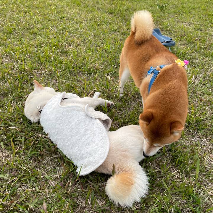 D8c2c789 9ed2 4d34 8c16 626d48f0e869 1648901633040