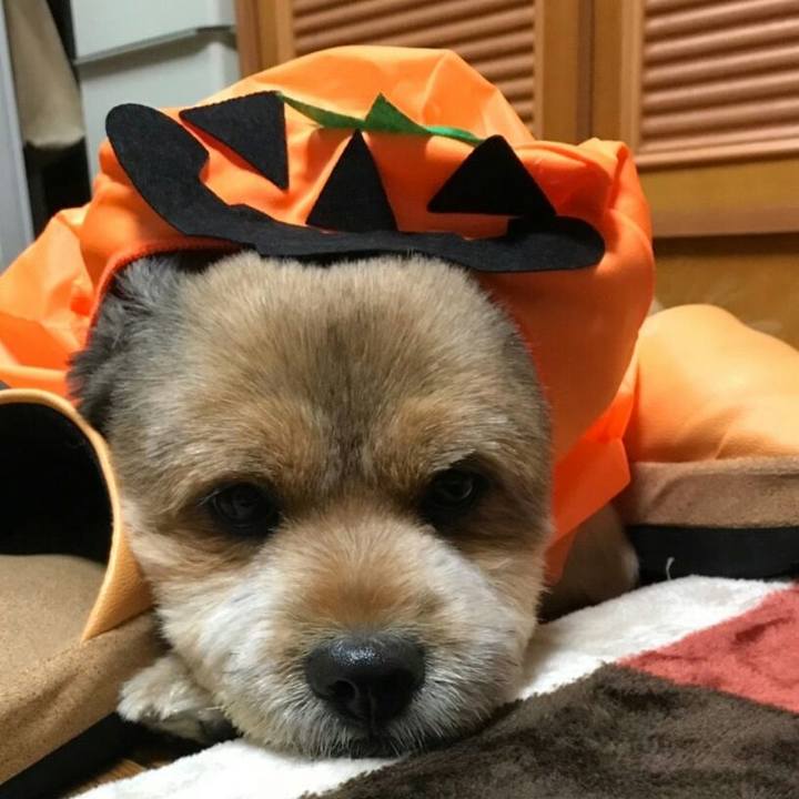 D8c2d463 836e 45e5 98d2 426461a8ae29 1540125040820