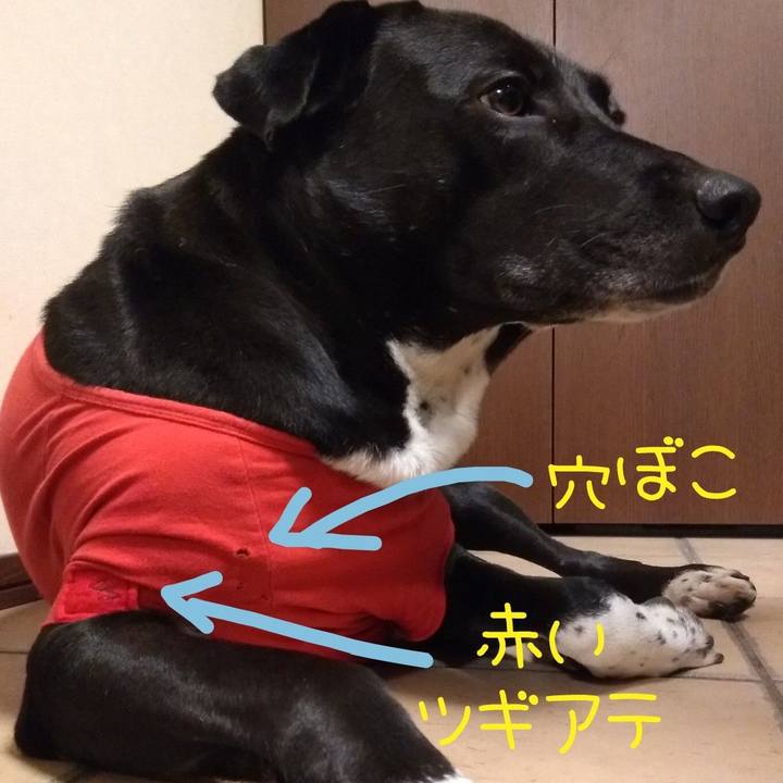 D8c2dc23 56fd 44da a05c 901bd6856089 1621335911613