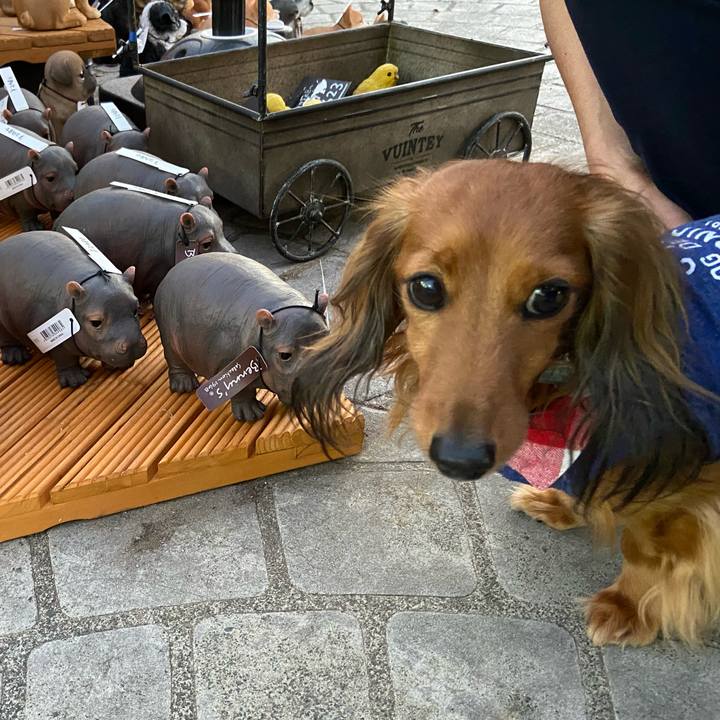 D8c2fdbe d7ba 4bbc 9e89 2f76186858bf 1701042035799