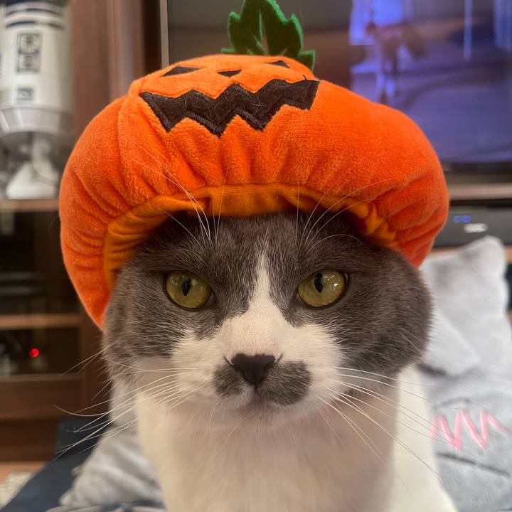 D8c309e0 5620 486e bb41 fe483a7e2069 1730331521490