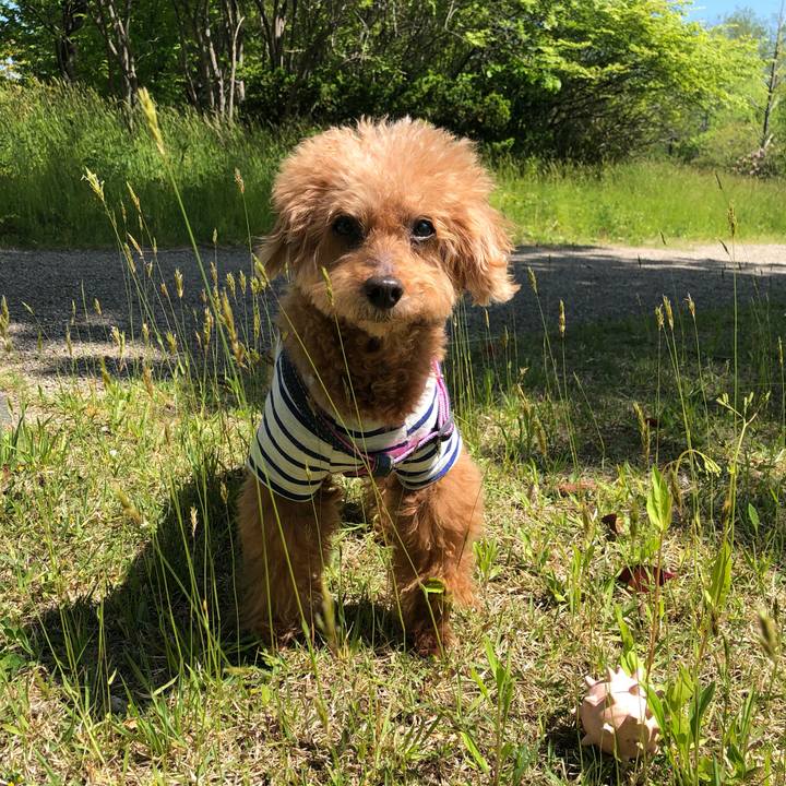 D8c37498 ae59 4ff2 b85a d76b726b4f3d 1620789901899