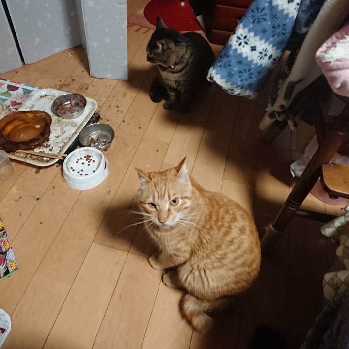 D8c3cc74 3896 41a6 90d1 019f65dc47d9 1650318978972