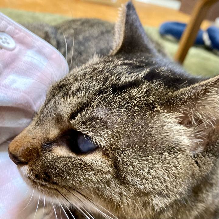 D8c3d133 8e8e 4def a5c2 cda6af3ea558 1637143837036