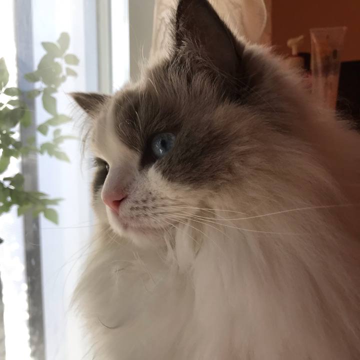 D8c3e4d9 b803 45c8 9cd6 bc34c0457e82 1573976813636