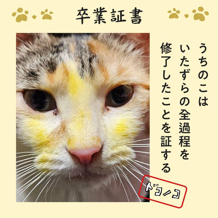 D8c400c8 6a31 4b11 8266 cdd560a443ee 1771822083590