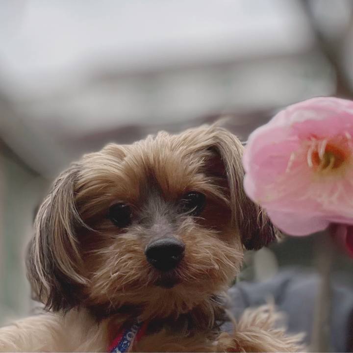 D8c4451a f35a 4c82 bbfe c666a31055ea 1644892017348