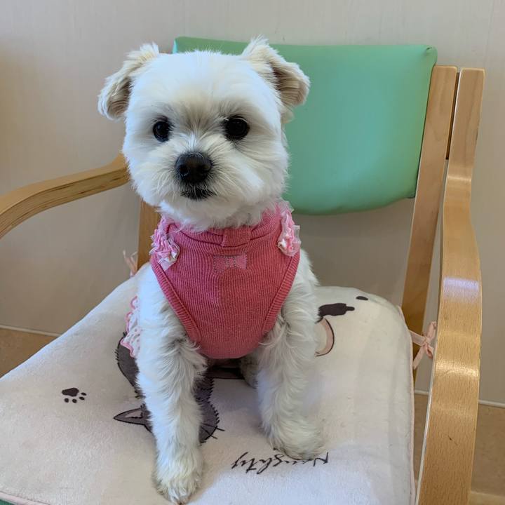 D8c45c1f 09ba 4de2 a236 381035abc8ec 1639633076659