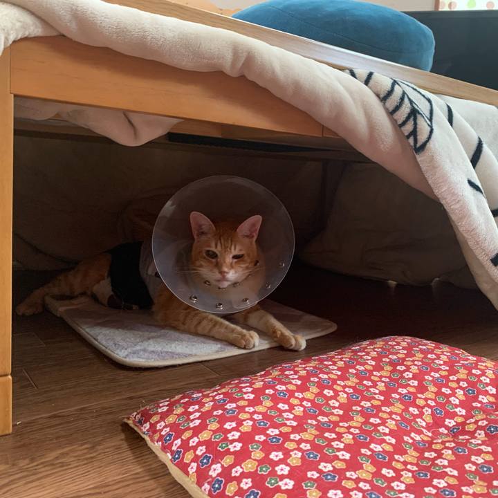 D8c46271 4f52 4924 9772 f751b614cd60 1631743693851