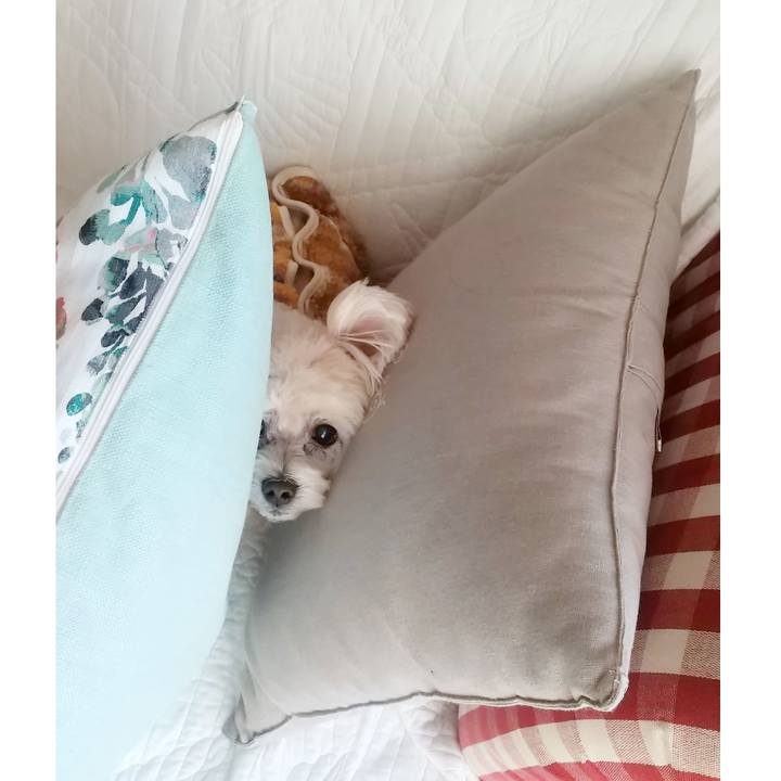 D8c466cf 235c 4677 b794 fe0f67431d8b 1638183200314