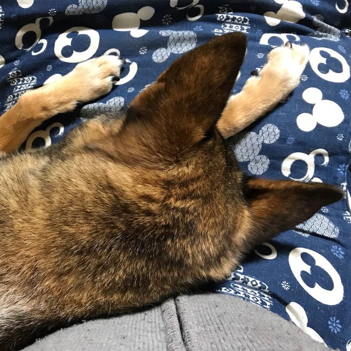 D8c46ff5 0204 4953 8330 4aea29503fe9 1523368602655