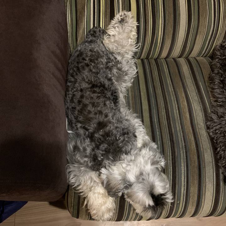 D8c48448 d3c3 406c 92be 06aefbdfb573 1597326298617