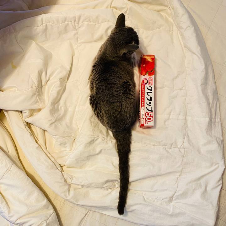 D8c4b4ac f130 4ca1 8a52 df47f3b5b247 1585004841531