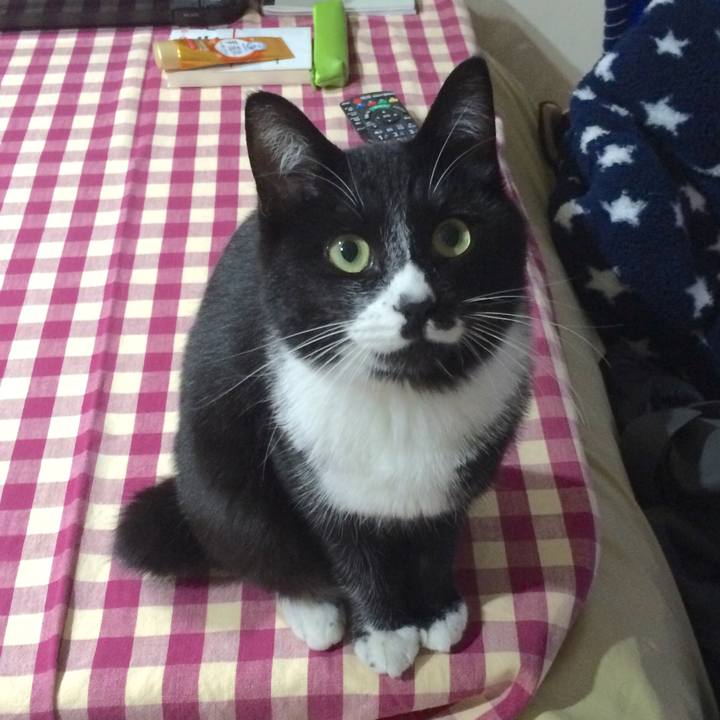 D8c4b830 032a 43ff 967e 2fc518506a1c 1514611784459