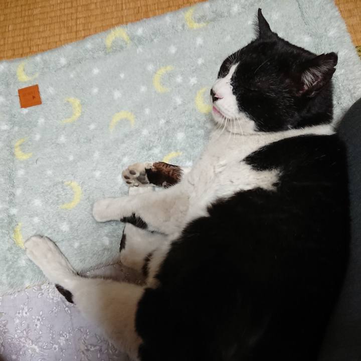 D8c4d258 3e05 4c5f 9be6 dbba1a37bf88 1646221317793