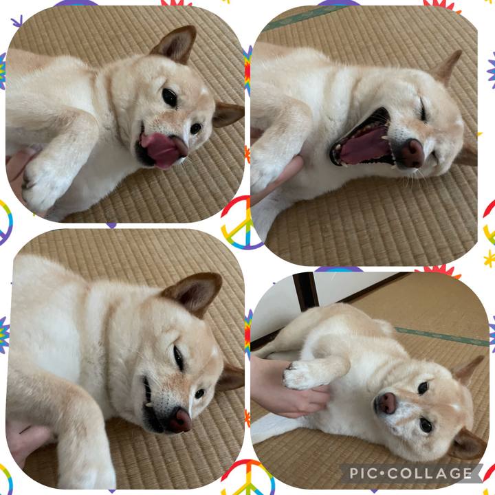 D8c52273 c184 47af bf98 961f19f04d90 1686183329886