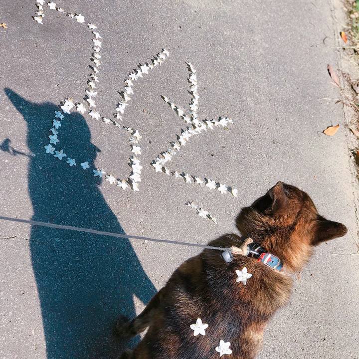 D8c5228c 7215 48b5 8258 daa38c424495 1528330669456