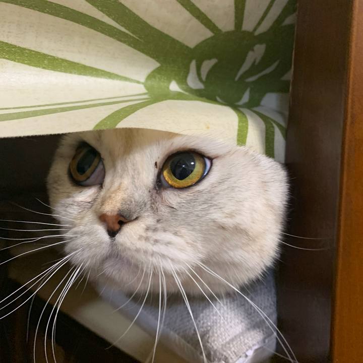 D8c53d85 3420 4bec 9469 12273c17fc53 1707816935765