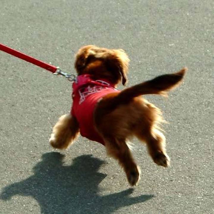 D8c561d4 13f0 4fbc 94fe 334d0e132bd4 1527956084823