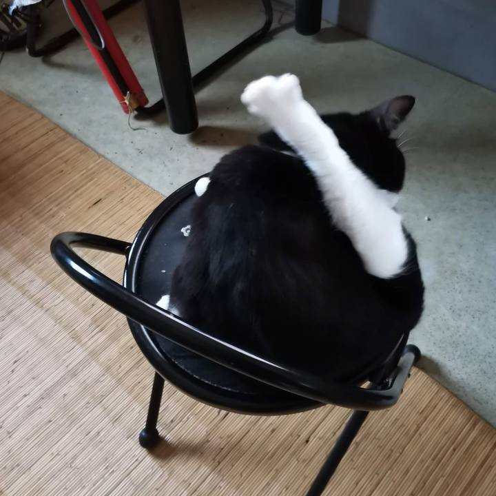 D8c56ea8 98d3 4989 a59d 759e51998ccd 1701229644994