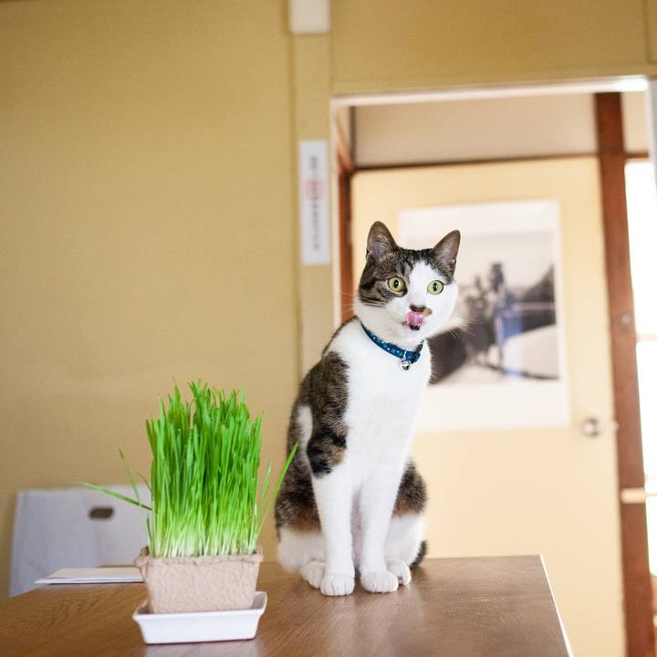 D8c59d88 136f 4307 a0fa c4b982fa43bd 1559130615147