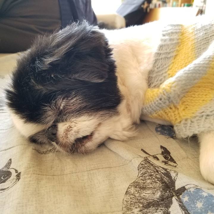 D8c5cded eb59 4292 91f8 a94f9a7fd240 1584266554356