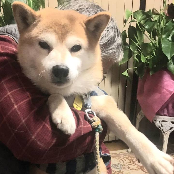 D8c5f499 e818 4643 b8c9 a517258b80c3 1580886237849