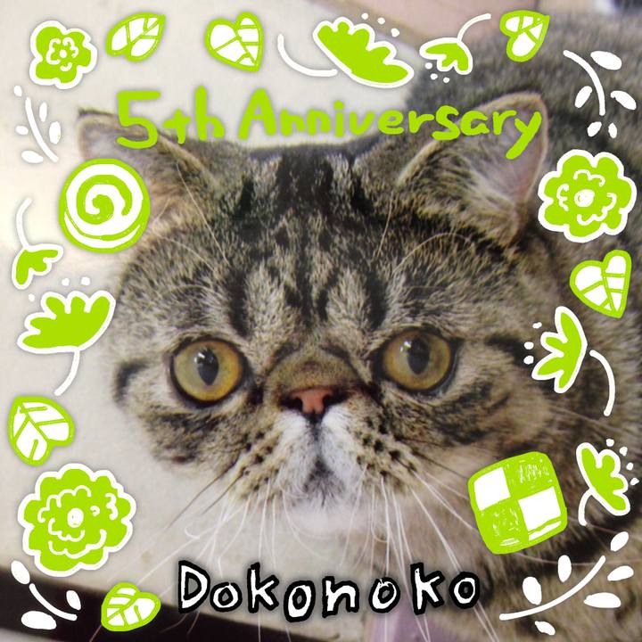 D8c619fd 4b51 4cdf 8da8 7f7a98c0760a 1622965812904