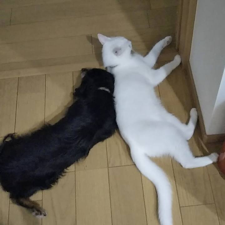 D8c63e54 9c33 48a6 934b 0ae2436f672a 1629756882136