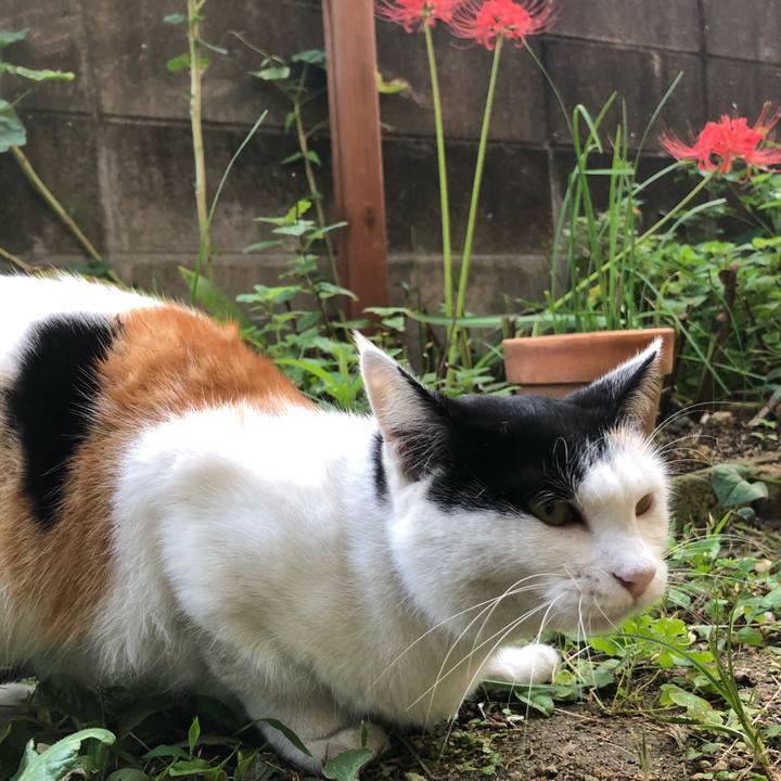 D8c66d78 7ca4 4032 be8e 19e9588860ad 1601471765618