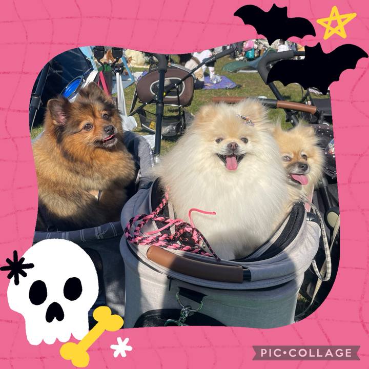 D8c673a0 b6e1 4505 b377 d5765b8b45a9 1729432106900