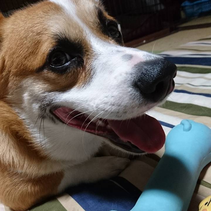 D8c68c3c 3f58 432c 8d95 52cb915bbf63 1567767687033