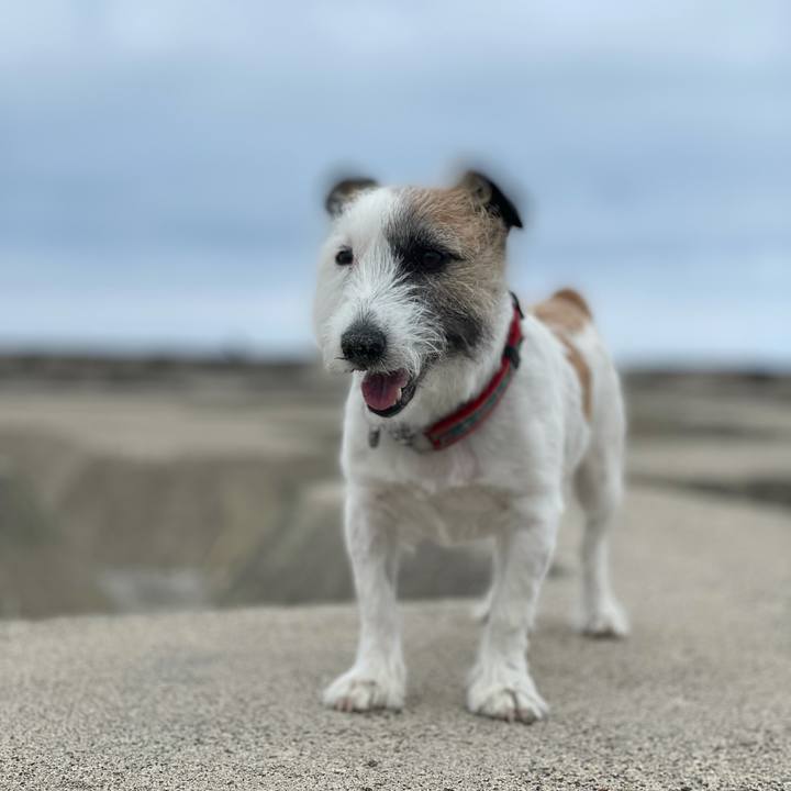 D8c743e1 eabd 4e68 908a 42ab18319211 1623624128651