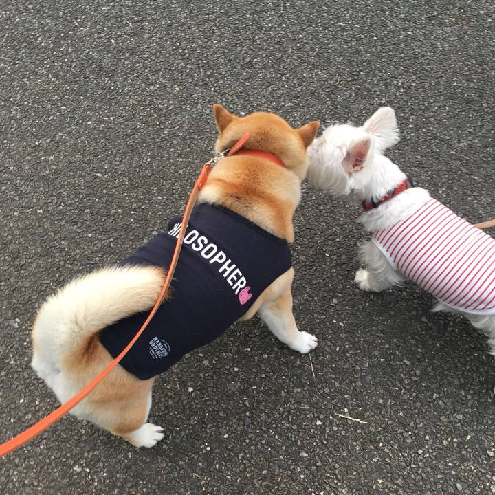 D8c74be4 b3b5 4b8e a0f7 9465e3b535b1 1559642771863