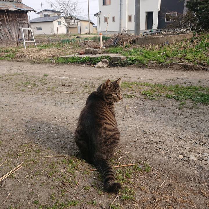 D8c751e2 434f 45f6 9eae e73ce4346cf1 1650526395344