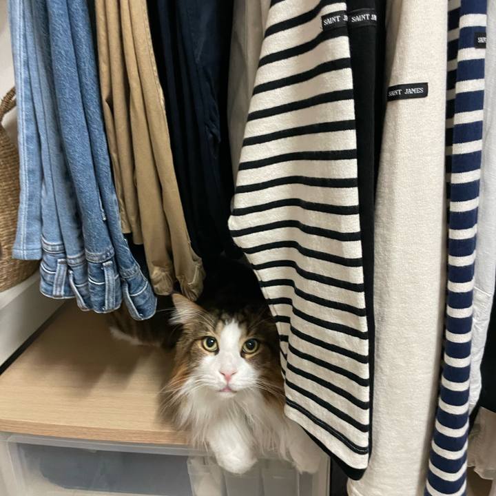 D8c764e9 5adf 48c2 9c3e 699f29fa6d1a 1722801442423