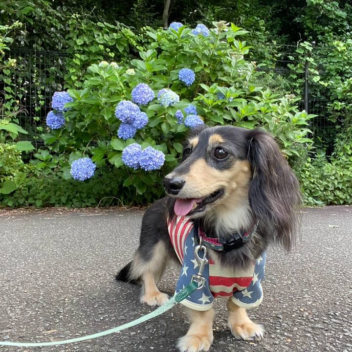 D8c7862c 4321 4eac a783 617b55735856 1751585494159