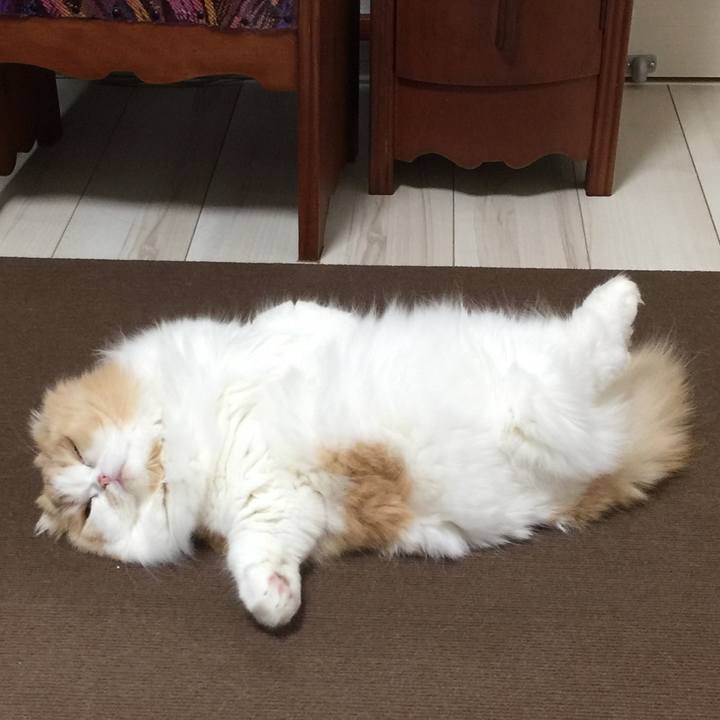 D8c79bc0 ae24 4f33 83e5 987894a78c4f 1577666375676