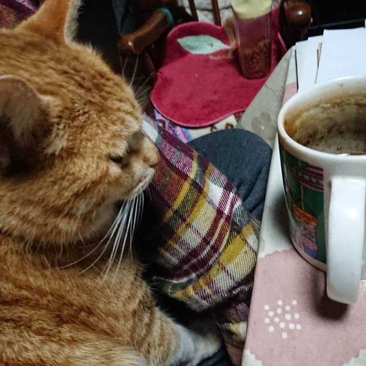 D8c7c783 6c42 42eb bef1 1eb462ca9e8a 1581278756547