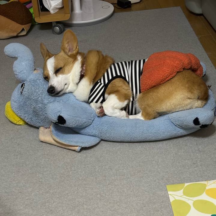 D8c7cf55 86b7 41eb a76f 4df23f455ff9 1761776411281