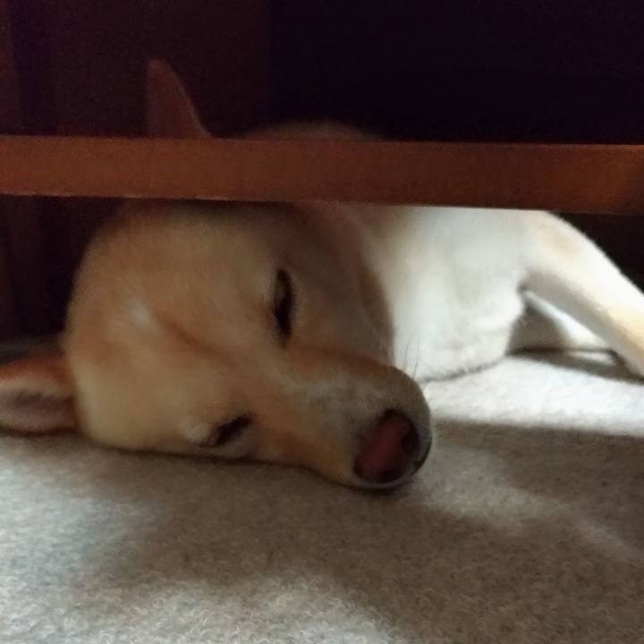 D8c7df57 83db 428e b62c 415c58720f3b 1531398376858