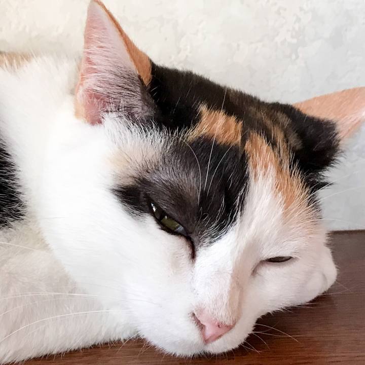 D8c8286e 58fc 4215 895d 01ef39ef3bac 1533949784665