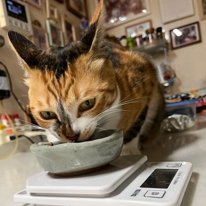 D8c83683 f8f3 4fec 9e98 92eb7f863545 1714694096197