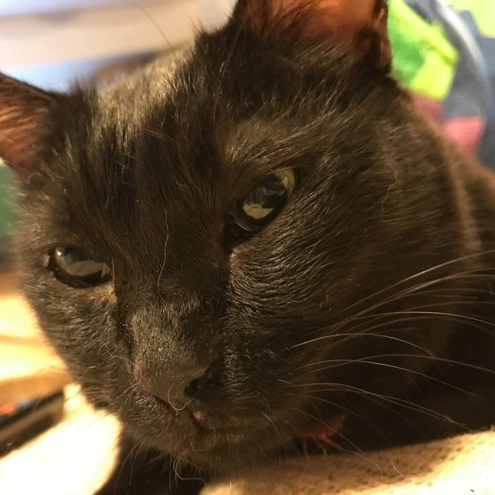 D8c88f7f 40b9 4b34 a8c4 d1f40693207e 1538906081658