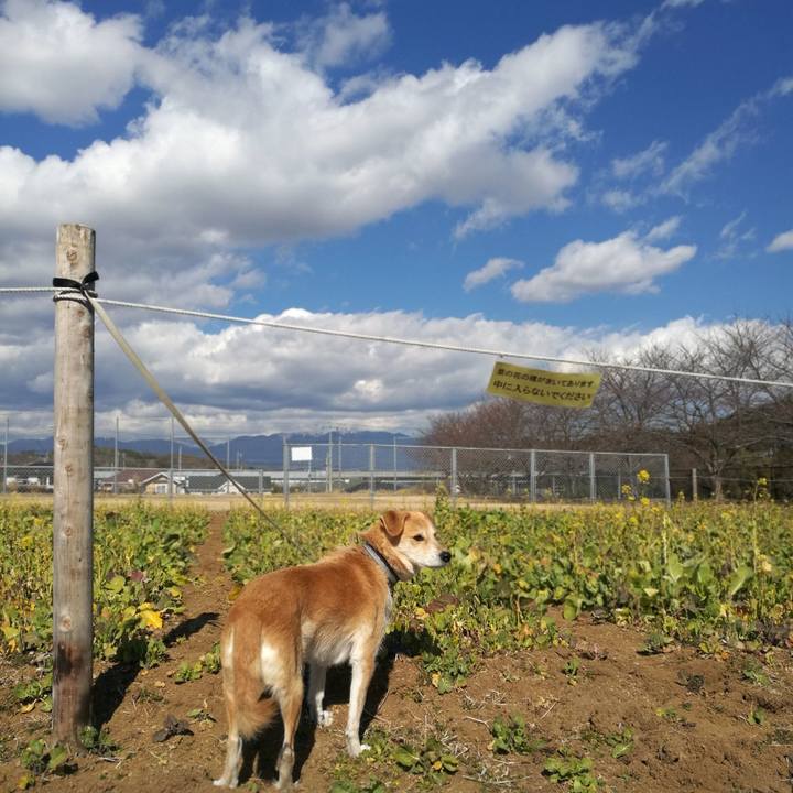 D8c89b33 881b 42e6 b3b1 d5deddf72690 1518070332994