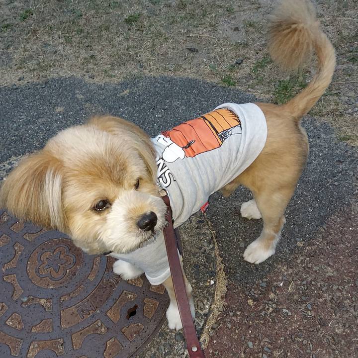 D8c8a2db a514 4aa2 a6f9 3e41cefeb11a 1634853530211