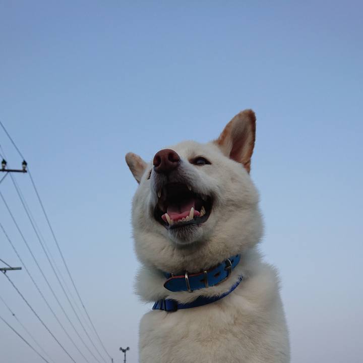 D8c8c380 c259 462b a037 8988cd154919 1587817215665