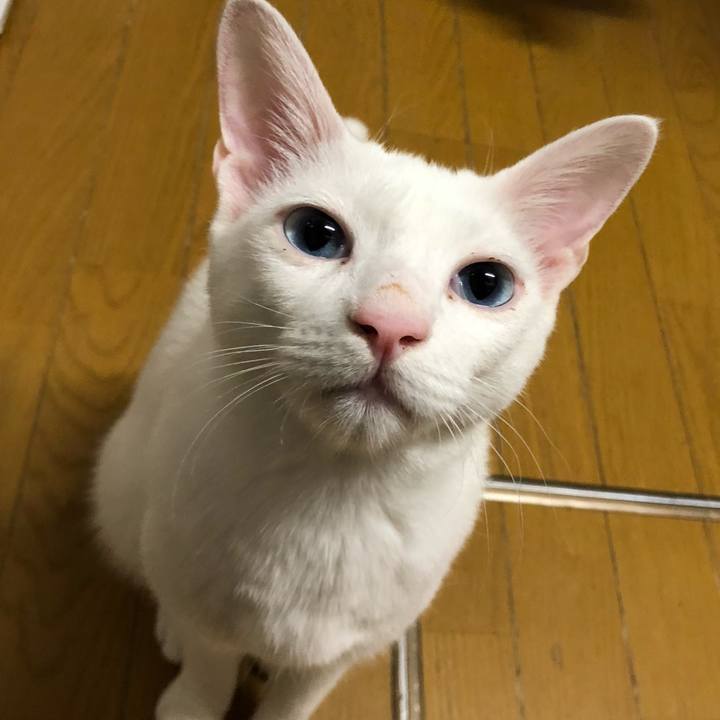 D8c8ecf6 85f4 4f20 87da 8d99a97d4b0e 1552734955586