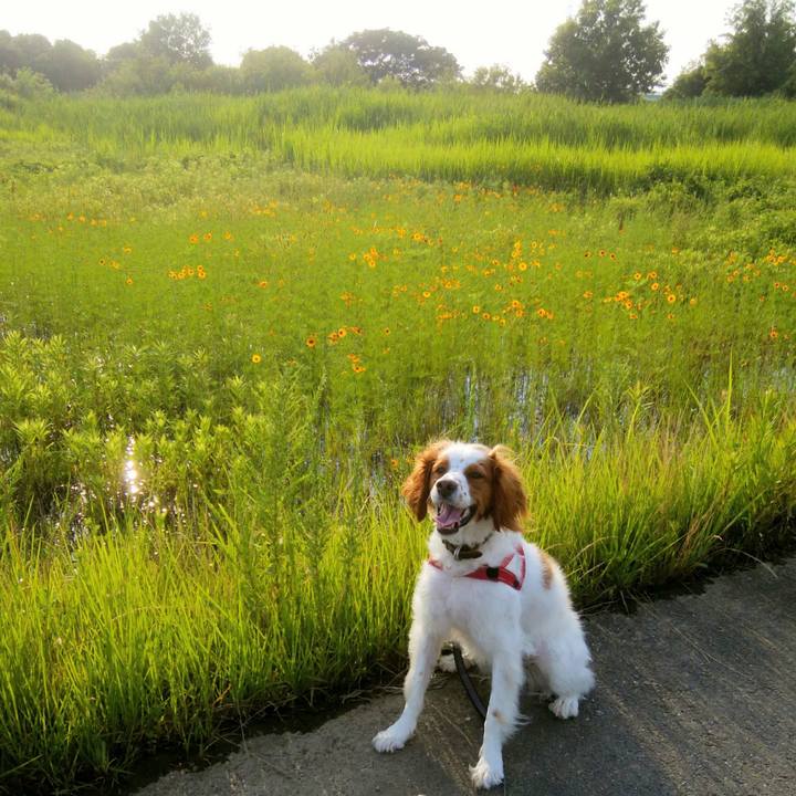 D8c8fa7d 86e0 4591 8111 73129c3958fb 1529581786421