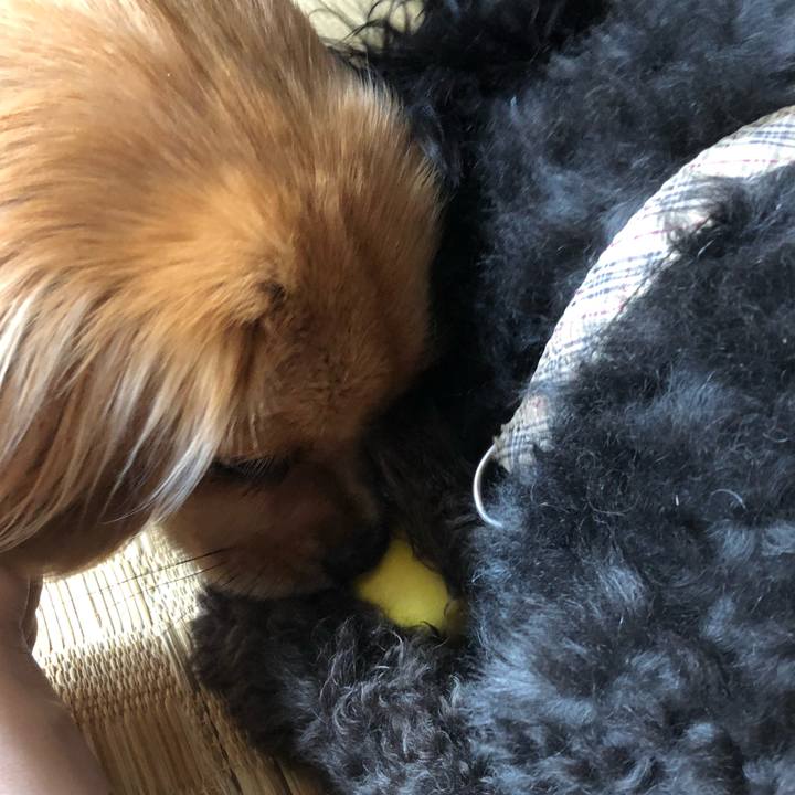 D8c91405 1446 4dd9 b9ac 96500bce6edb 1530089288929